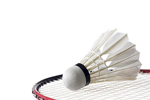 未来展望 未来展望