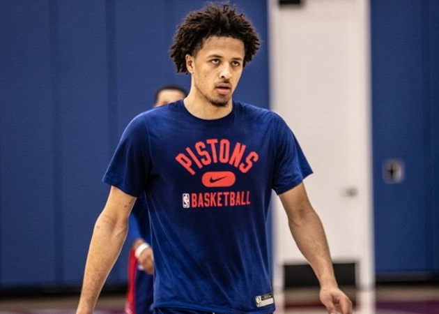 比例上升 比例上升